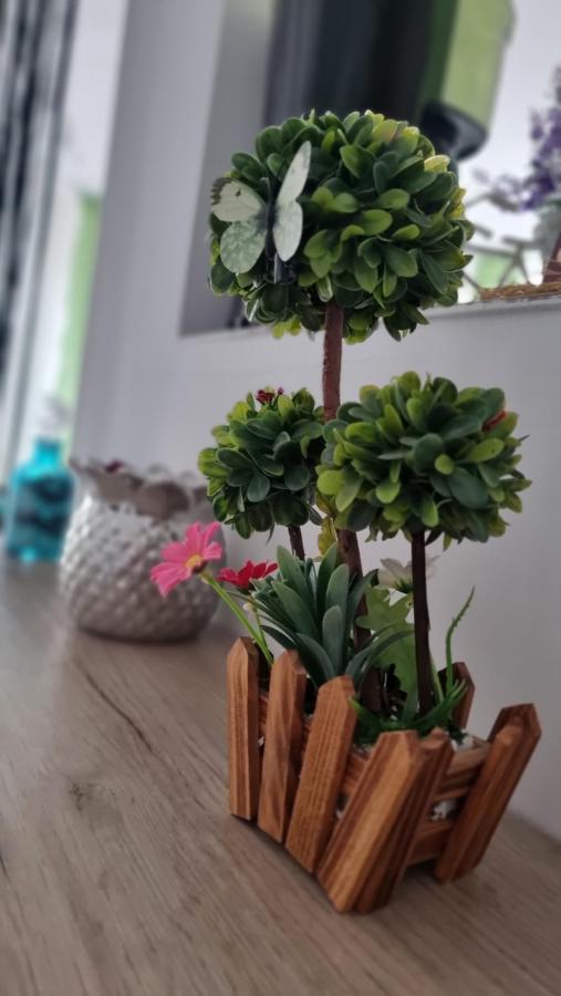 Apartament Daria Năvodari Екстериор снимка